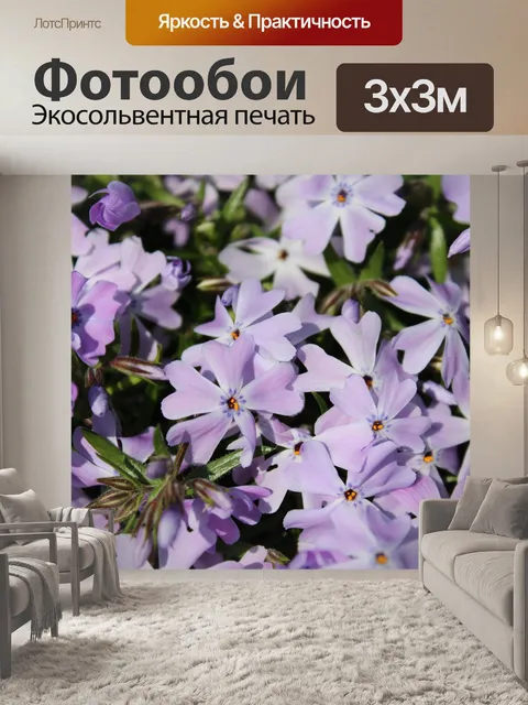 Фотообои Ползучий флокс