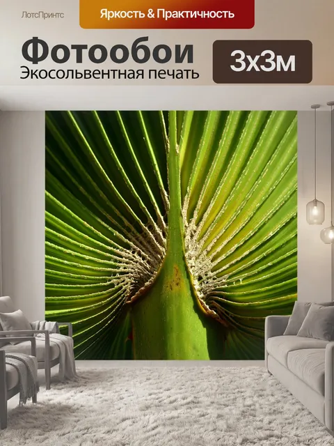 Фотообои Пальмовый лист