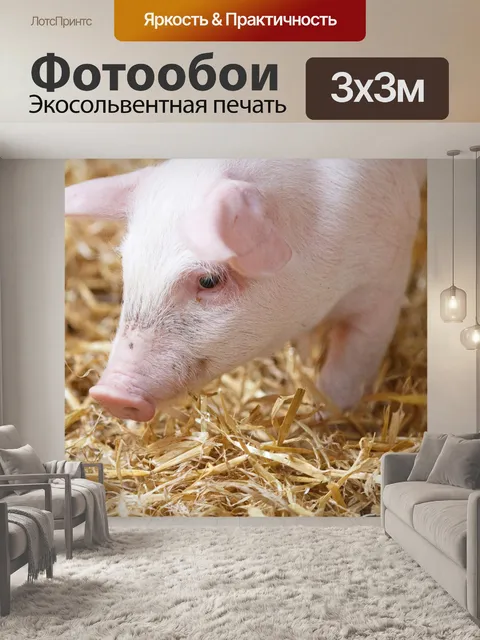 Фотообои поросенок в сарае
