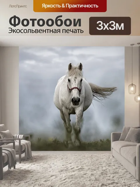 Фотообои Белая лошадь