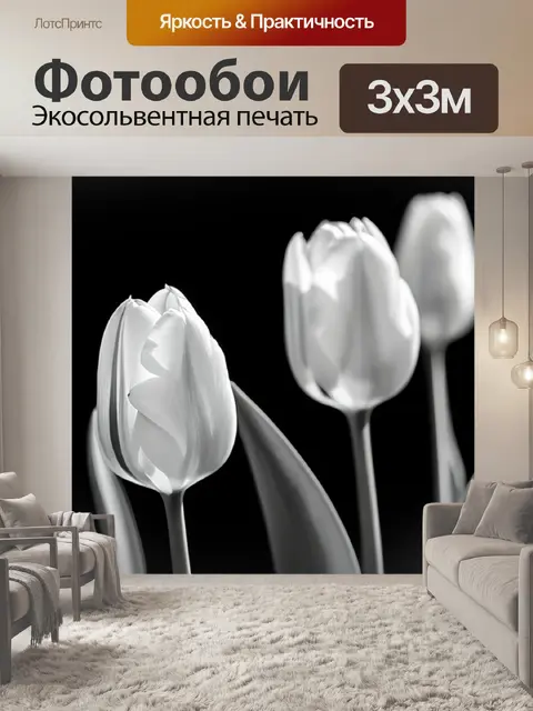 Фотообои черно-белое изображение тюльпанов