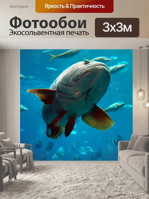 Фотообои Тропические рыбы