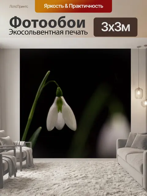Фотообои Подснежник
