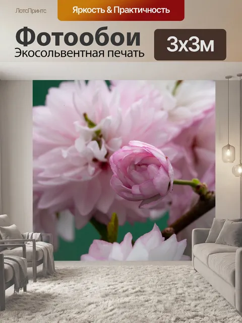 Фотообои Сливовый босс