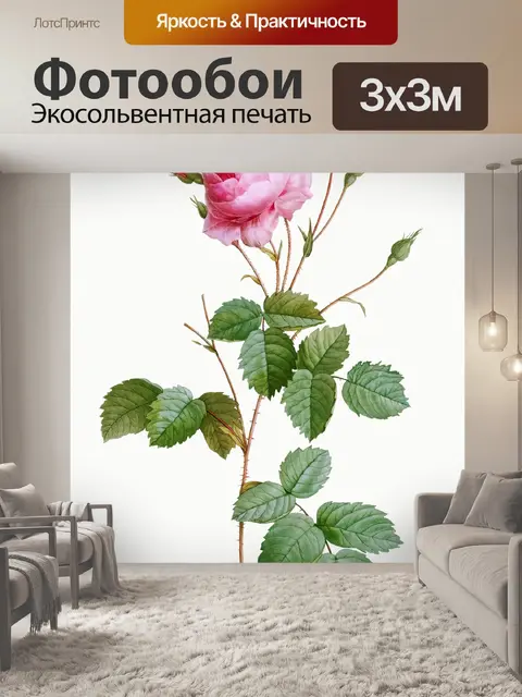 Фотообои Нарисованный цветок розы