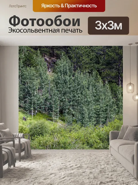 Фотообои Деревья в лесу