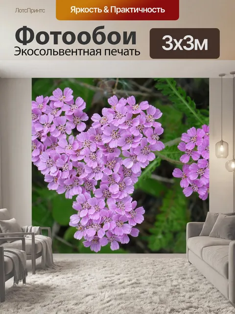 Фотообои Цветочная гроздь