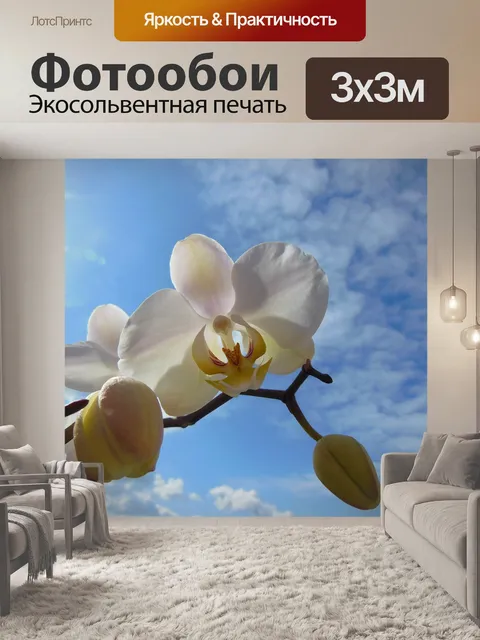 Фотообои Орхидея