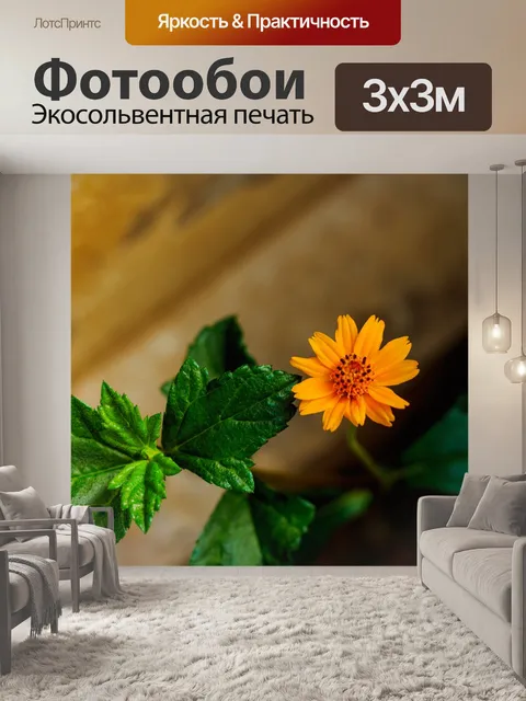 Фотообои Желтый цветок