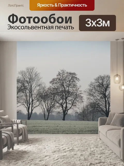 Фотообои Деревья без листьев