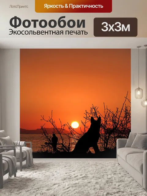 Фотообои Заход солнца