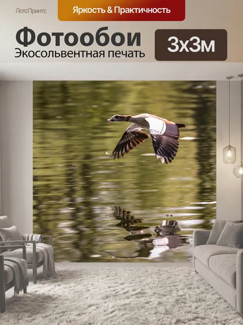 Фотообои Птица