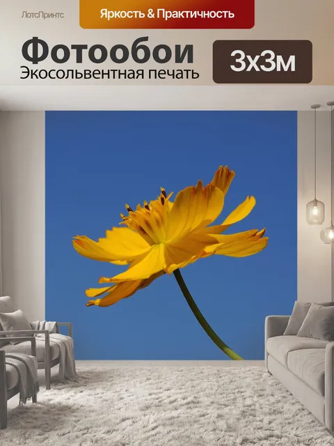 Фотообои Вселенная фабрика