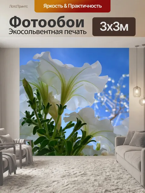 Фотообои Белый