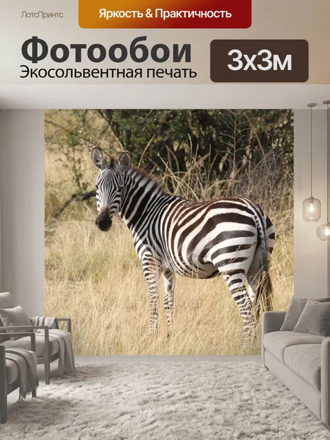 Фотообои Зебра