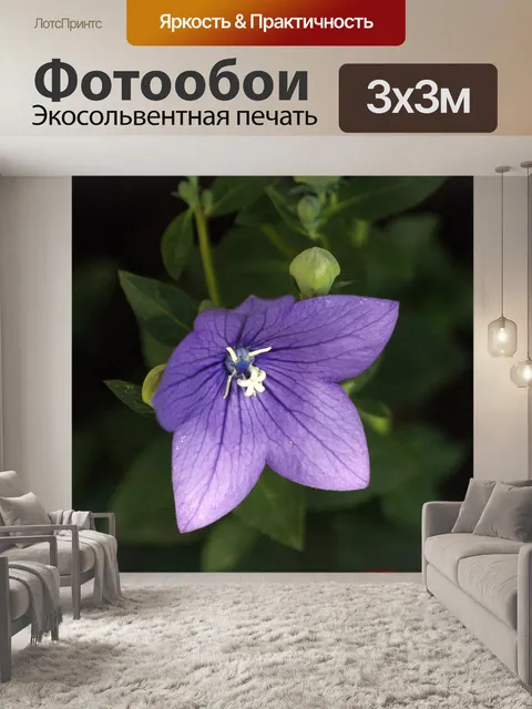 Фотообои Цветок