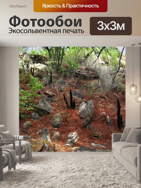 Фотообои черная палочка лилии на склоне