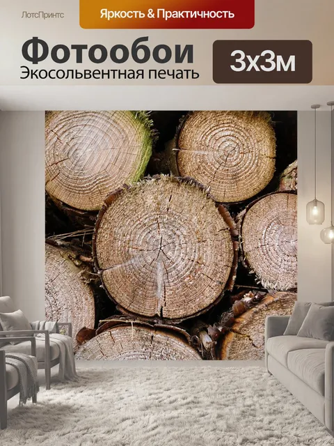 Фотообои Стволы деревьев