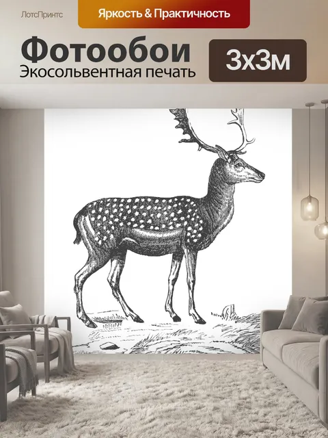 Фотообои Очерк эскиза