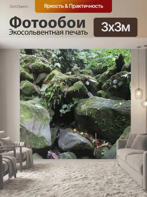 Фотообои Мшистые Скалы Джунглей