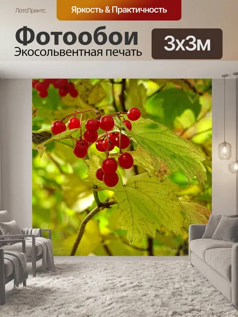 Фотообои Падение