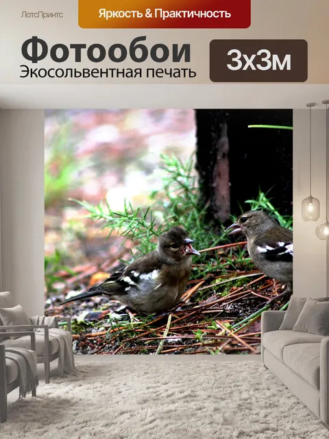 Фотообои Птицы