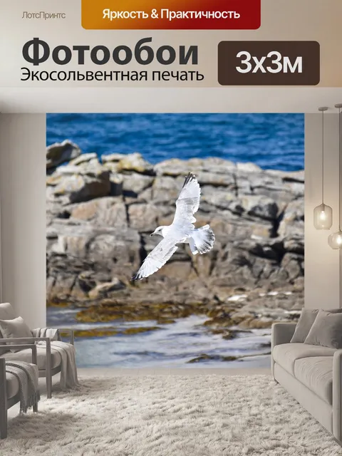 Фотообои Чайка