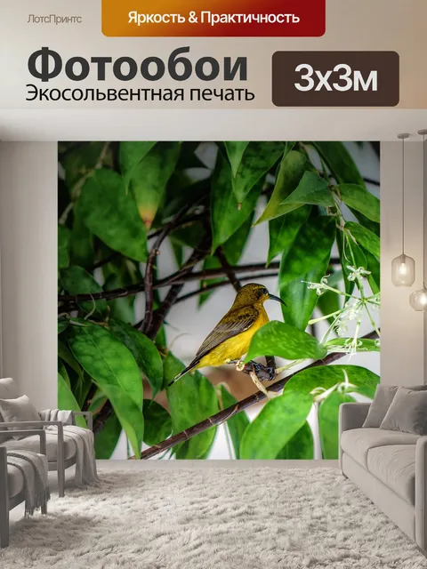Фотообои Солнечная птица