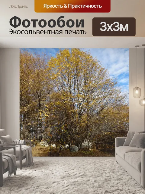 Фотообои Деревья