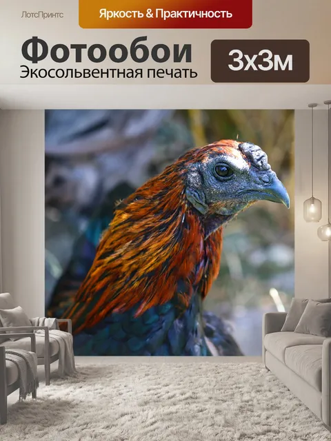 Фотообои Брюгге боевики