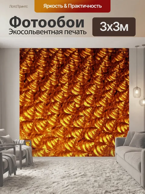Фотообои Ракушки