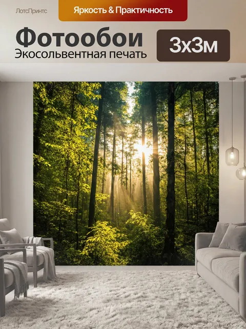 Фотообои густой лес с ослепительными солнечными лучами, проникающими сквозь листву