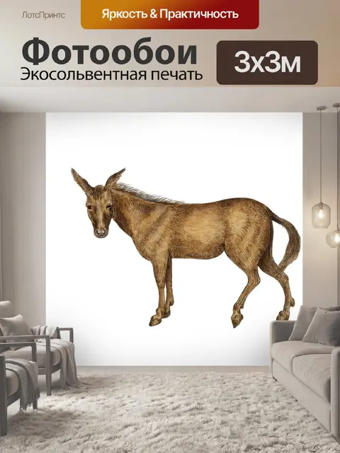Фотообои Винтажная живопись осёл Клипарт