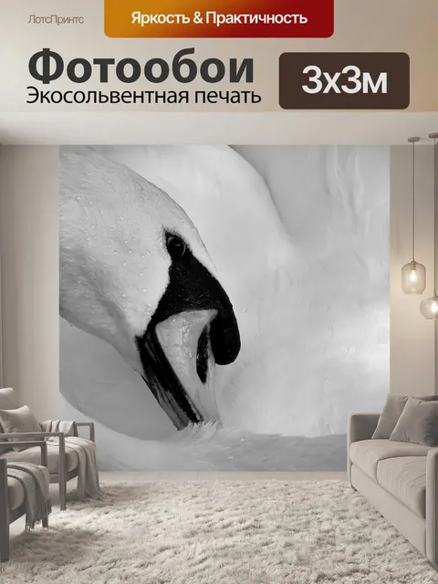 Фотообои Лебедь