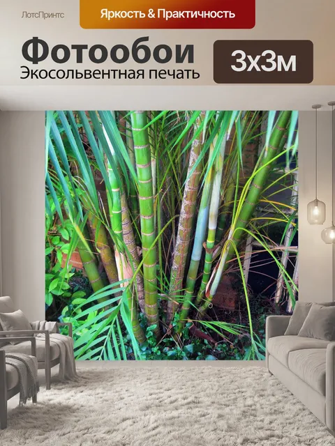 Фотообои тип бамбука ладони