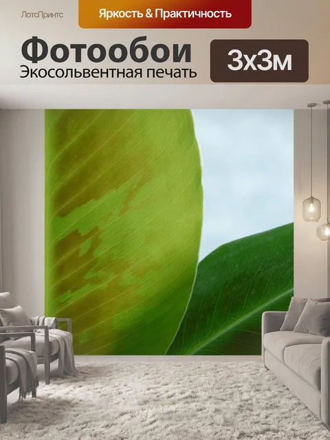 Фотообои Банановый лист