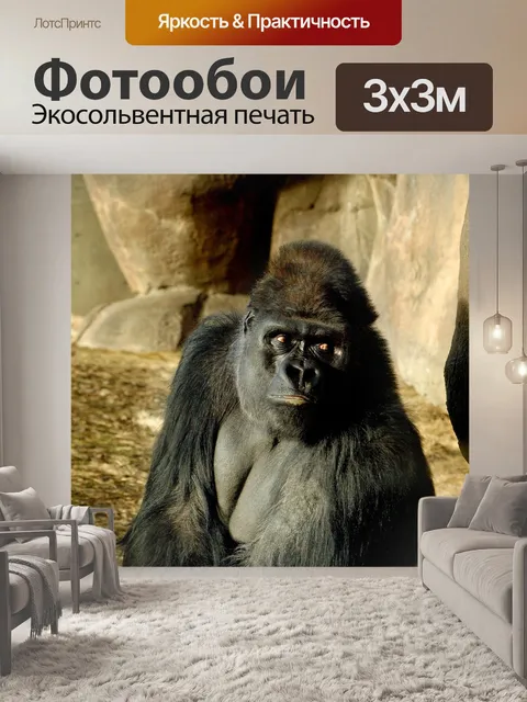 Фотообои Зоопарк