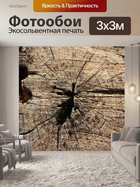Фотообои Пень