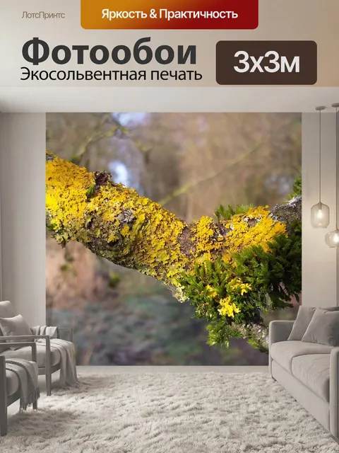 Фотообои Ветвь мха лишайника