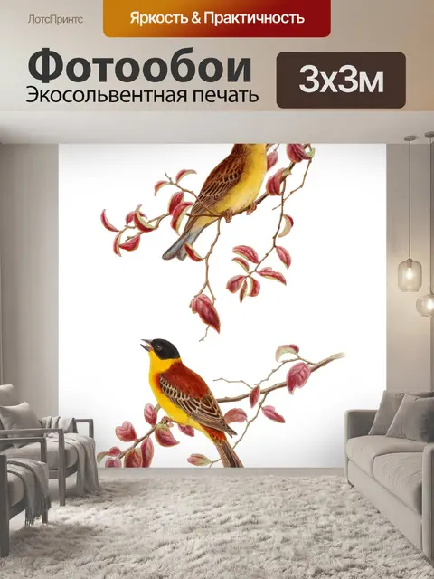 Фотообои Иллюстрация винтажного искусства птиц
