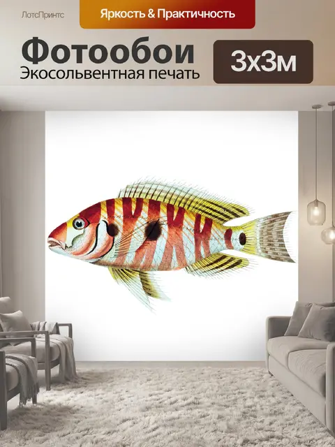 Фотообои Клипарт Fish vintage art