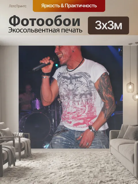 Фотообои В концертном IV