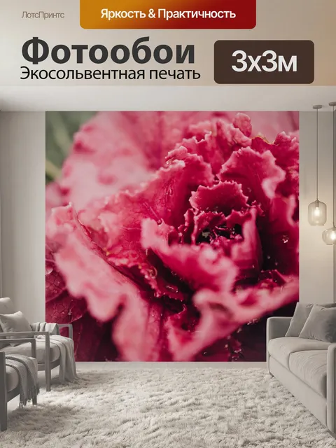 Фотообои Розовый