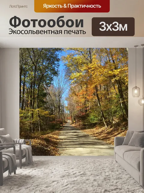 Фотообои Дорога