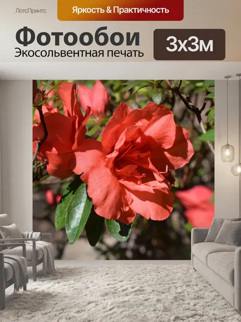 Фотообои Оранжевый азалия