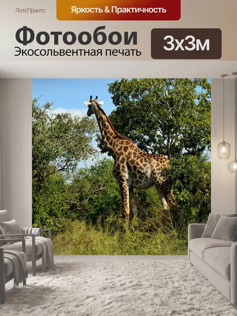 Фотообои Жирафа