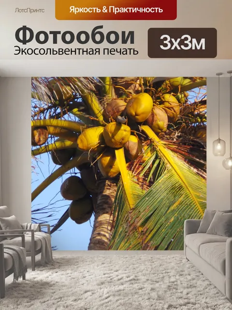 Фотообои Кокосовый
