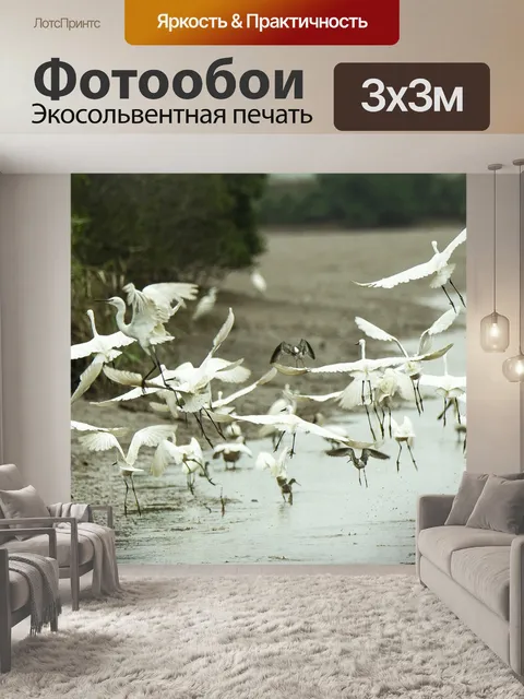 Фотообои Аист