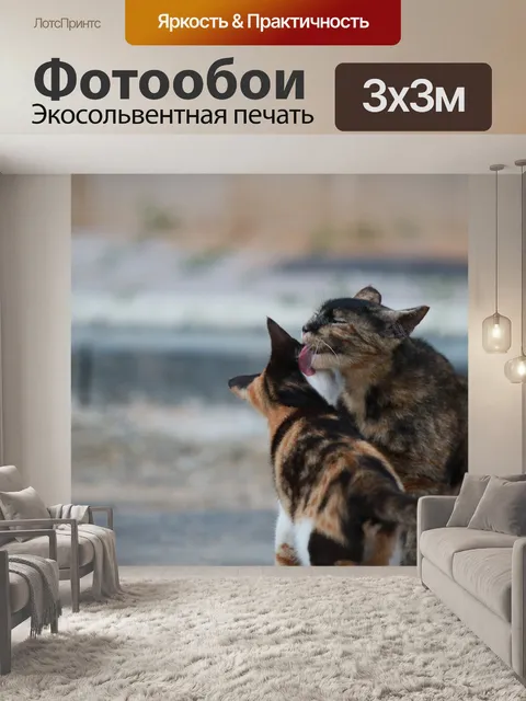 Фотообои Кошка