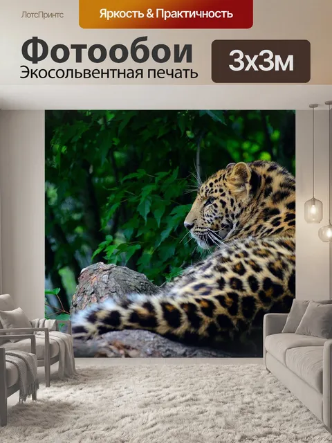 Фотообои Леопард